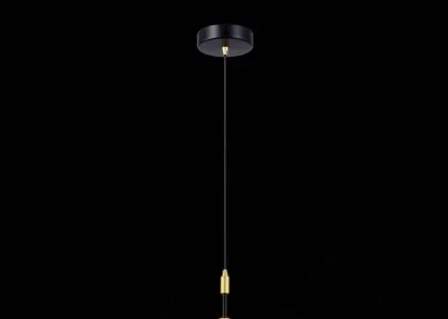 Подвесной светильник Evoluce Elitis SLE1137-403-01