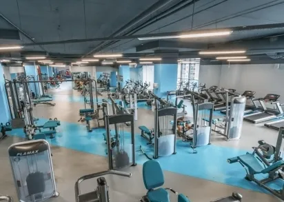 Спортивные покрытия Tarkett OMNISPORTS R35 Maple