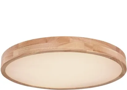 Потолочный светодиодный светильник Globo Rainer 41745-48