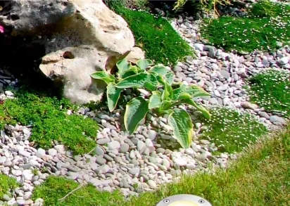 Ландшафтный светильник Novotech Street Ground 369951