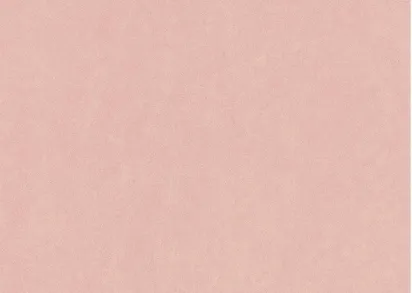 Обои Casadeco Florecence FLRE82384130