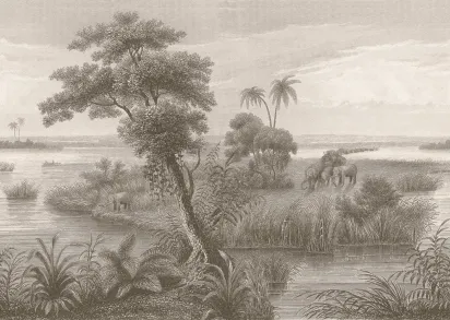 Обои Rasch Lirico 556155